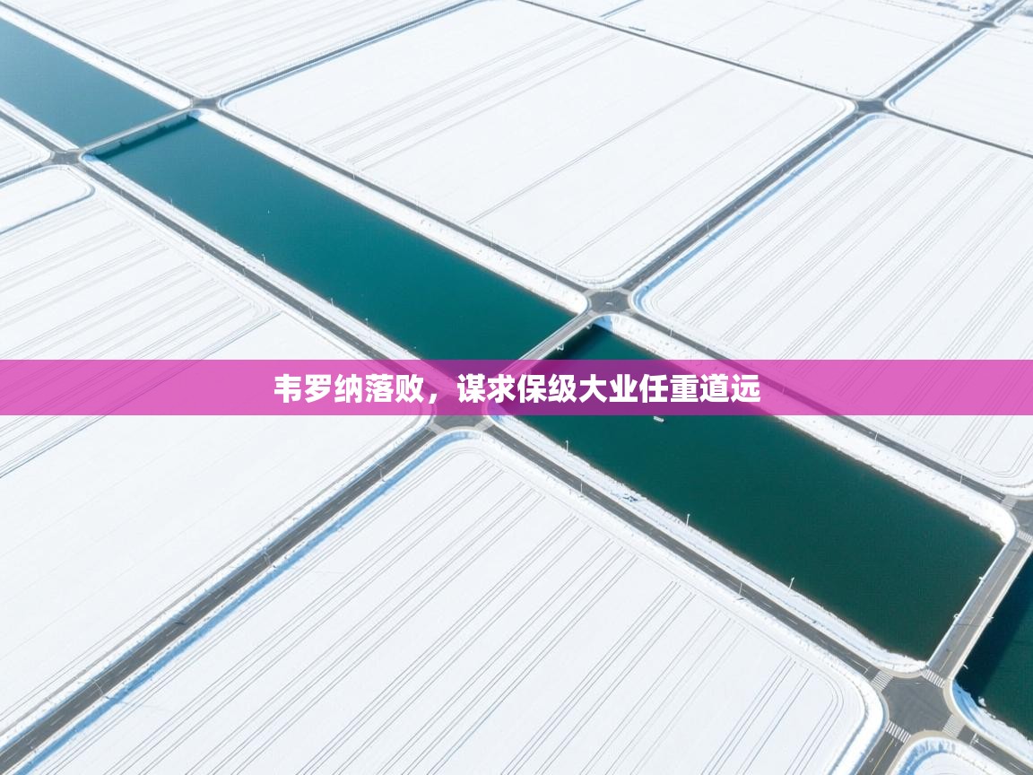 韦罗纳落败，谋求保级大业任重道远  第2张