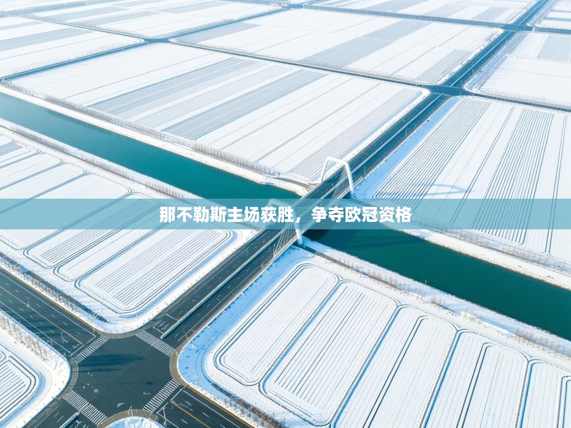 那不勒斯主场获胜，争夺欧冠资格  第2张