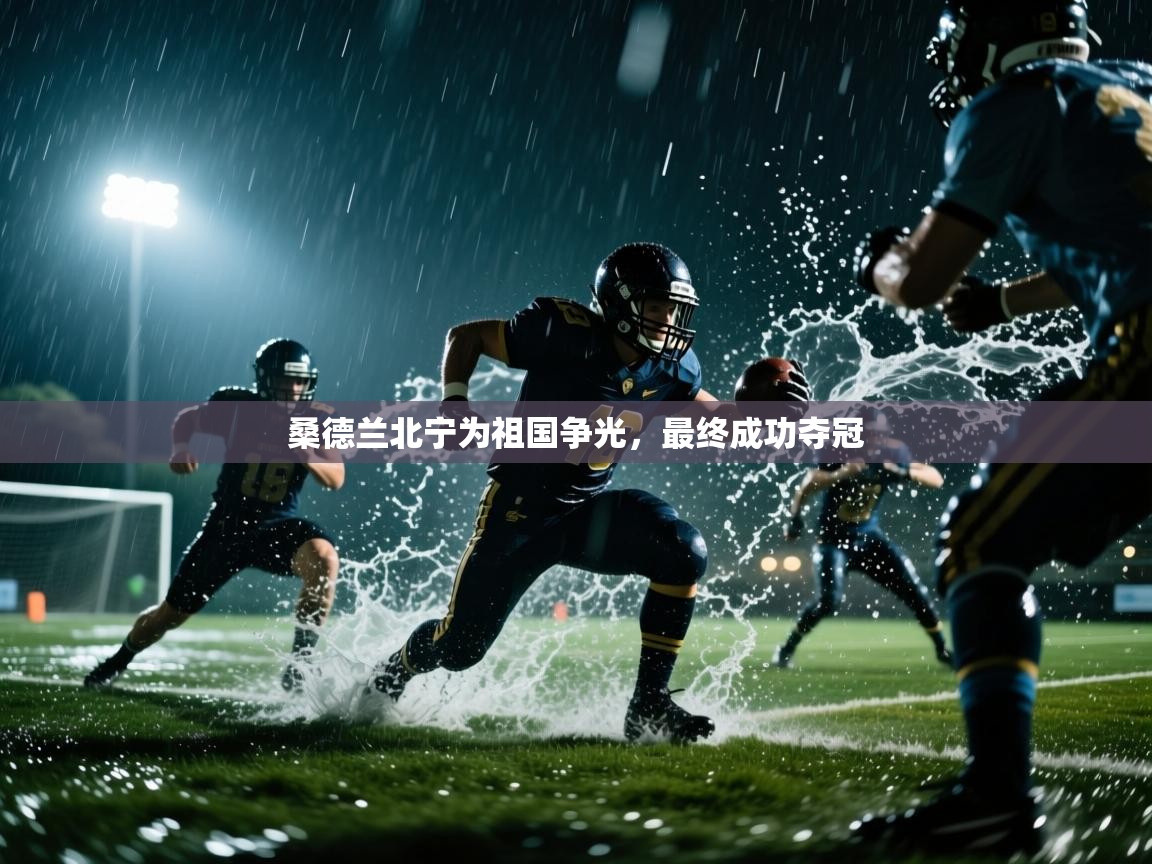 桑德兰北宁为祖国争光，最终成功夺冠  第2张