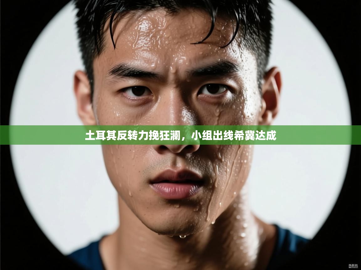 土耳其反转力挽狂澜，小组出线希冀达成  第2张