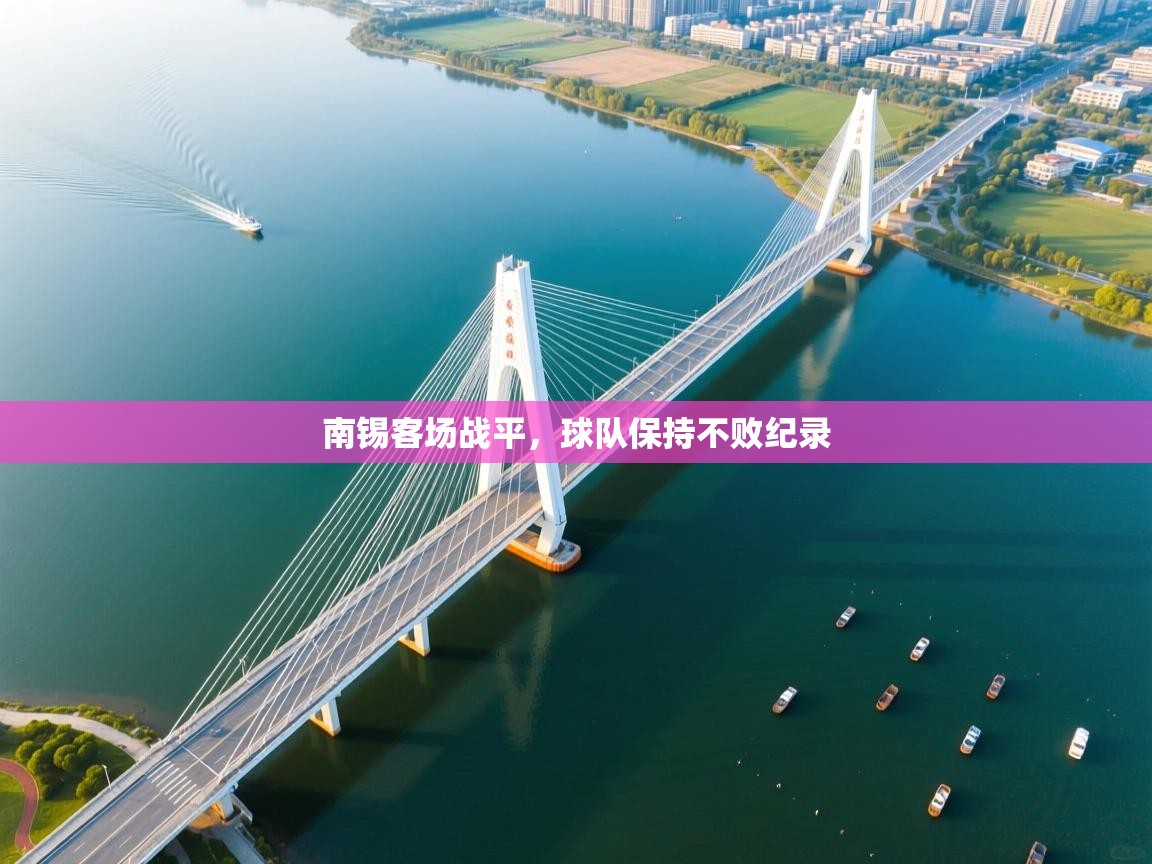 南锡客场战平，球队保持不败纪录  第1张