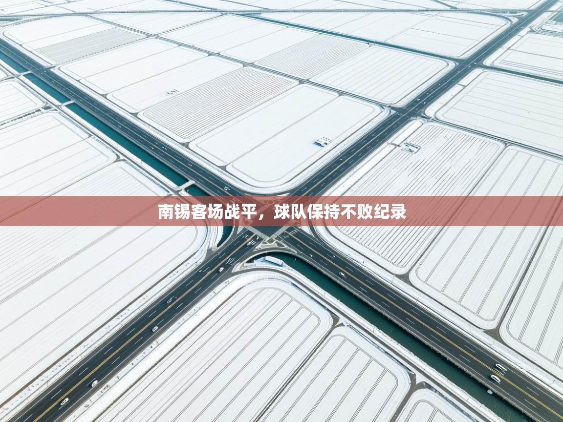 南锡客场战平，球队保持不败纪录  第2张