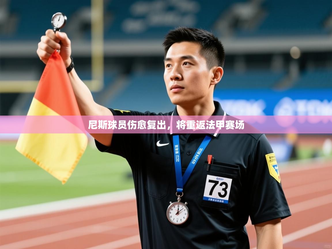 尼斯球员伤愈复出，将重返法甲赛场  第2张