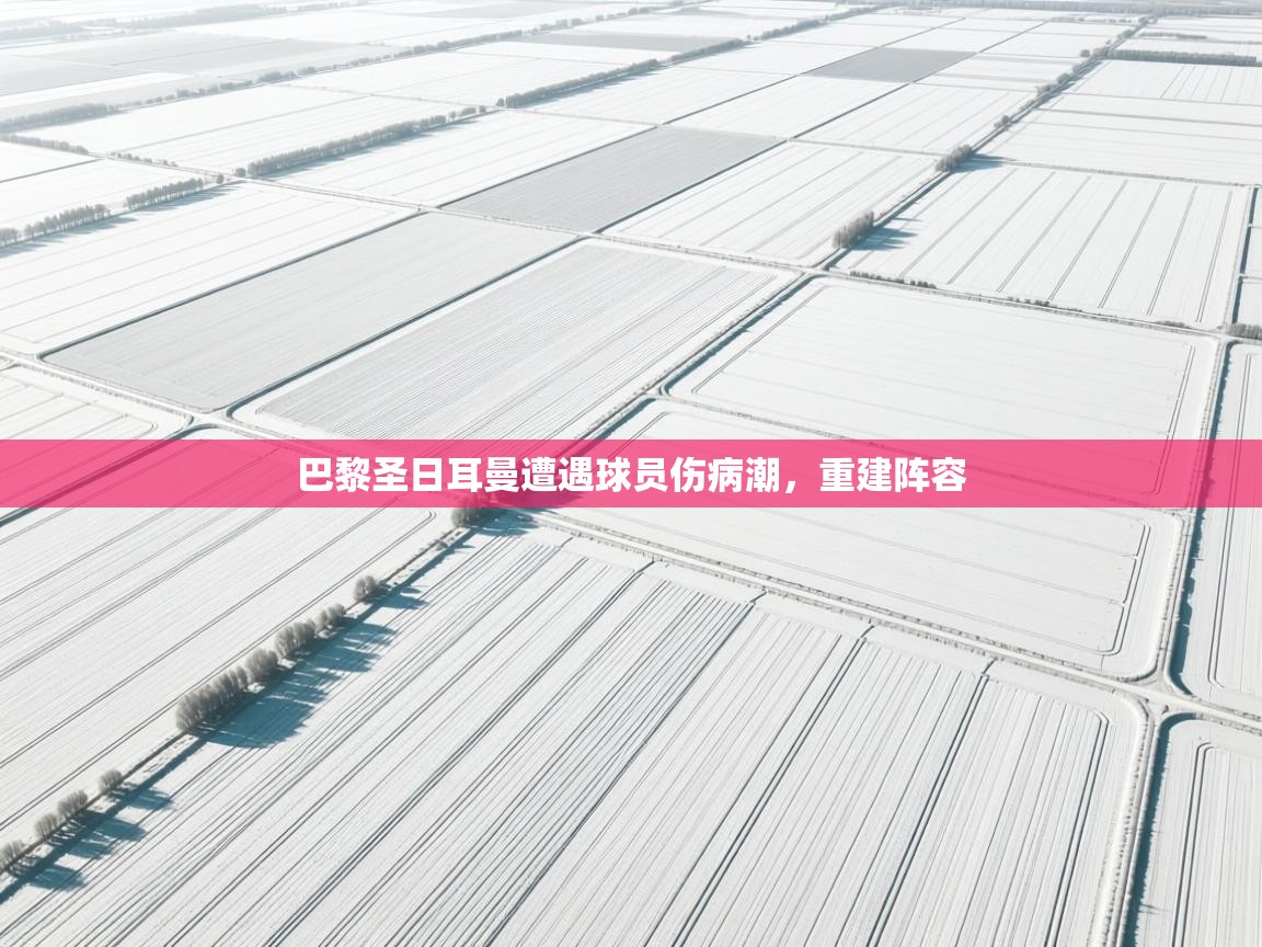 巴黎圣日耳曼遭遇球员伤病潮，重建阵容  第2张