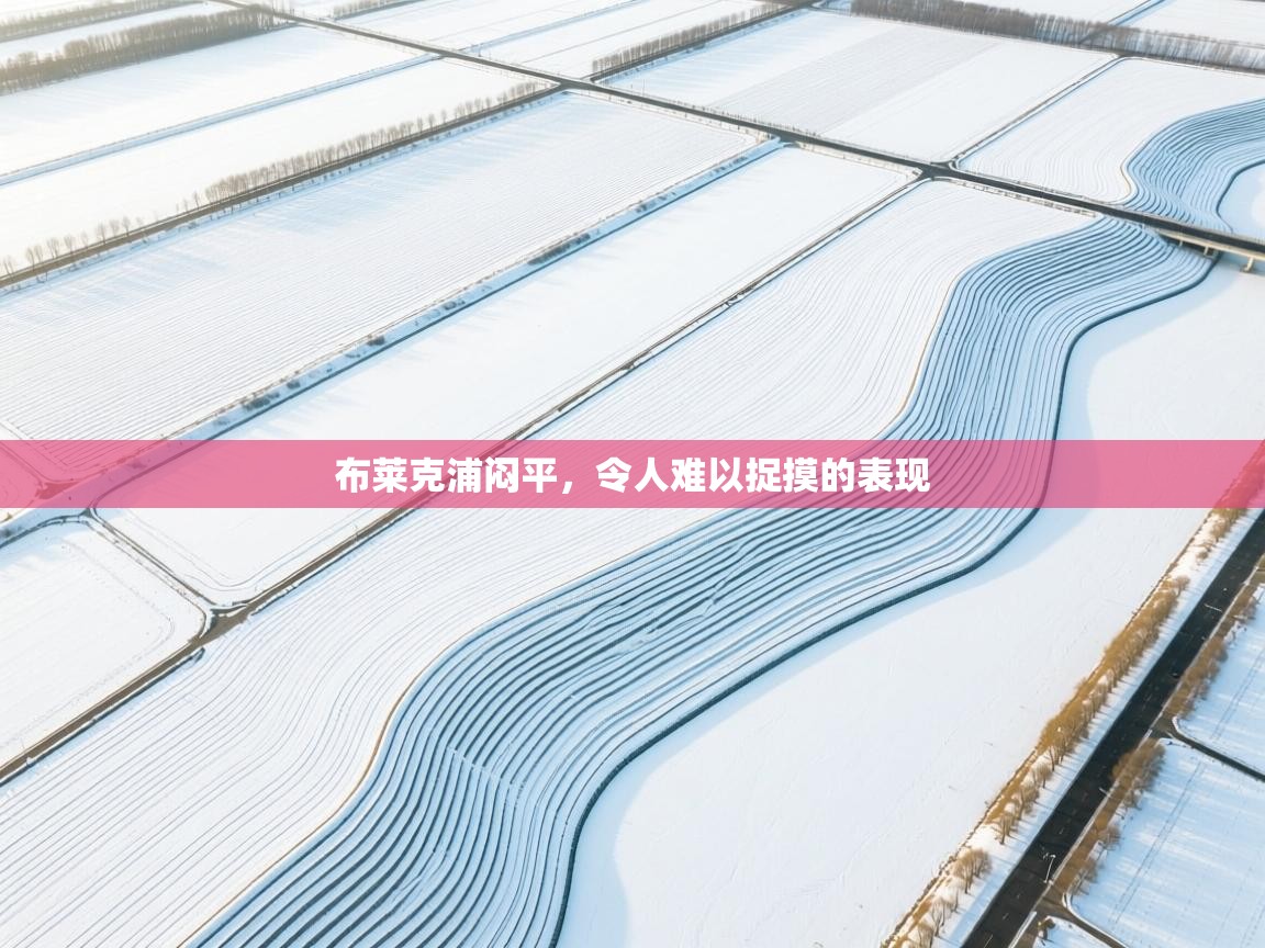 布莱克浦闷平，令人难以捉摸的表现  第2张