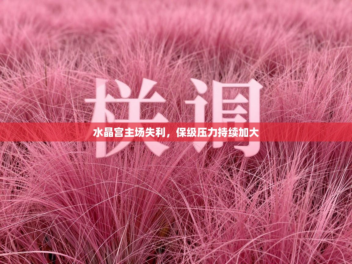 水晶宫主场失利，保级压力持续加大  第2张