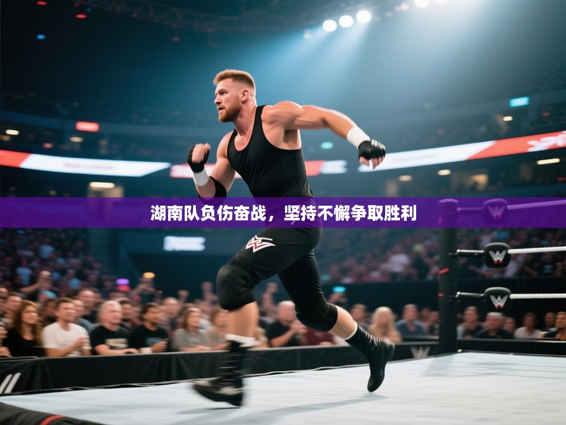 湖南队负伤奋战,坚持不懈争取胜利 第2张